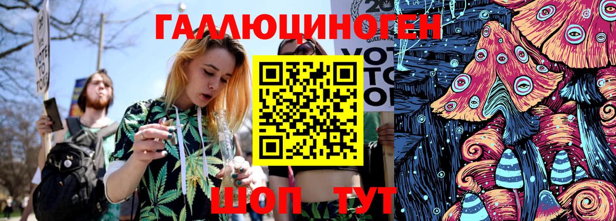 Псилоцибиновые грибы GOLDEN TEACHER  Вход с VPN  цена   Галлюциногенные грибы Cubensis  Кудрово 