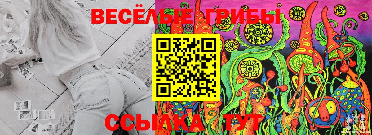 Псилоцибиновые грибы Psilocybine cubensis Кудрово
